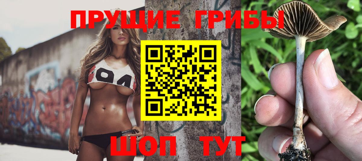 Галлюциногенные грибы Psilocybe  Псилоцибиновые грибы GOLDEN TEACHER  Советский  Вход с VPN 